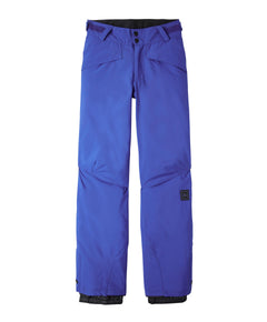 Boy's Hammer Snow Pants - Surf The Web Blue