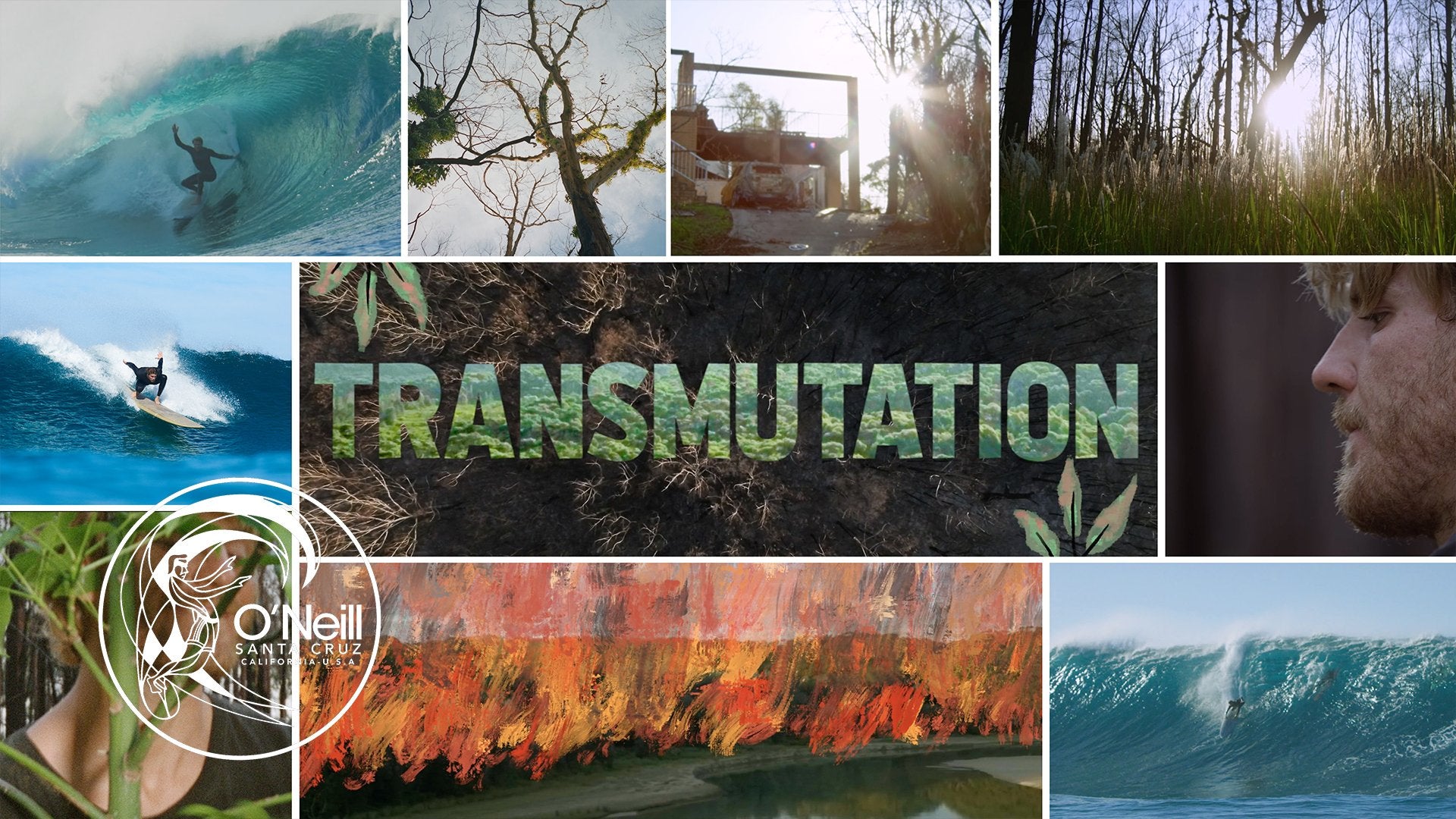 The O'Riginals - 'Transmutation'