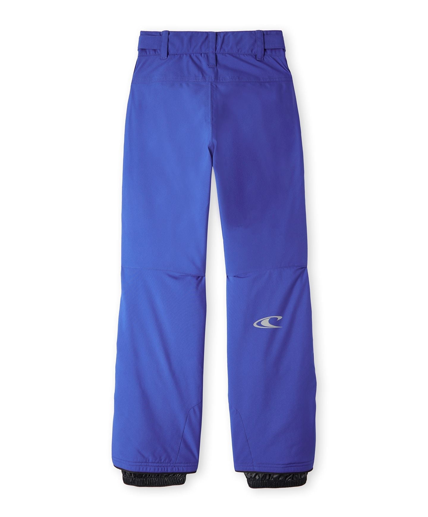 Boy's Hammer Snow Pants - Surf The Web Blue