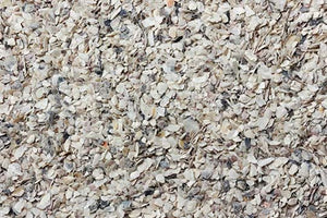 Recycled Oyster Shells